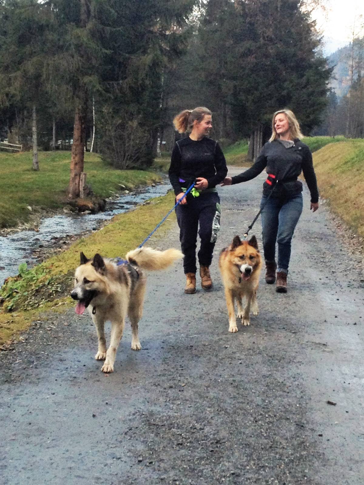 Baptême et sortie en chiens de traineaux  Saint-Gervais Mont-Blanc –  Montagne, Glisses, Thermalisme et Bien-Vivre