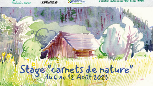 Stage d'aquarelle "Carnets de nature", du 6 au 12 août