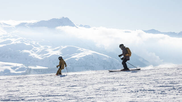 Alpine ski domain