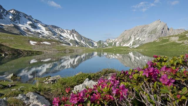 Un été Nature au Sommet