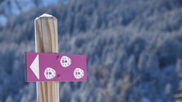 Idées randonnées en raquettes à neige