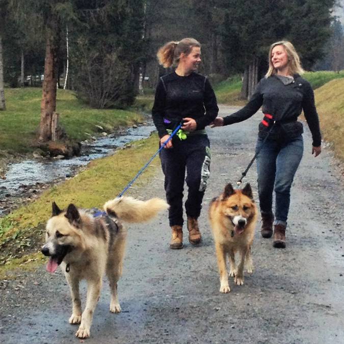 Chiens de traîneaux  Les Contamines Montjoie, le village nature 